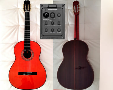 Products – Etiquetado "Guitarras YOTOKO